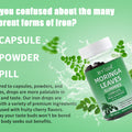 Certificate Manufacturer NSF HALAL COA GMP Wholesale Moringa Extract Supplements Immune Support Organic Moringa Capsule